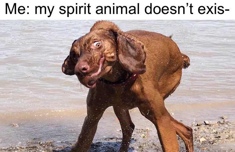 It exists alright | Me: my spirit animal doesn’t exis- | image tagged in spirit animal | made w/ Imgflip meme maker