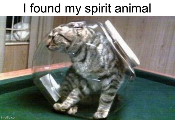 Spirit | I found my spirit animal | made w/ Imgflip meme maker