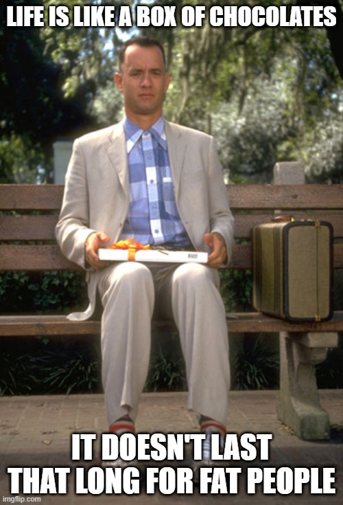 What He Really Meant to Say | LIFE IS LIKE A BOX OF CHOCOLATES; IT DOESN'T LAST THAT LONG FOR FAT PEOPLE | image tagged in forest gump | made w/ Imgflip meme maker