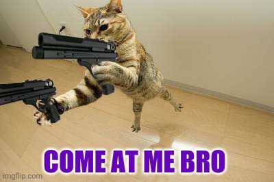 COME AT ME BRO | made w/ Imgflip meme maker