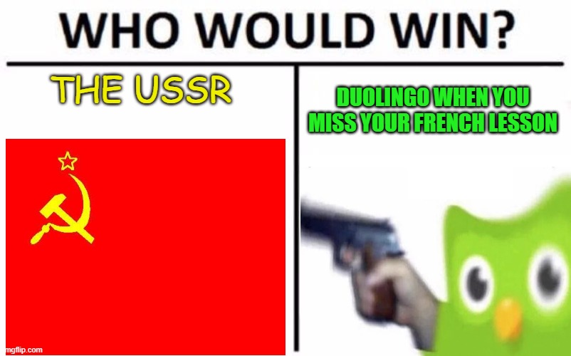 Duolingo owl vs. The sovient union | THE USSR; DUOLINGO WHEN YOU MISS YOUR FRENCH LESSON | image tagged in memes,who would win | made w/ Imgflip meme maker