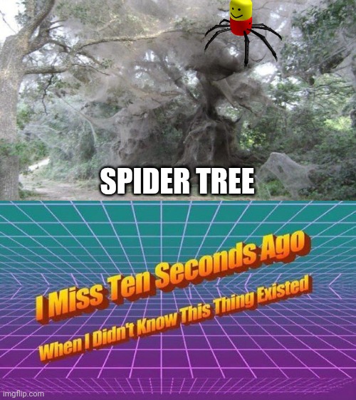I miss ten seconds ago | SPIDER TREE | image tagged in i miss ten seconds ago | made w/ Imgflip meme maker