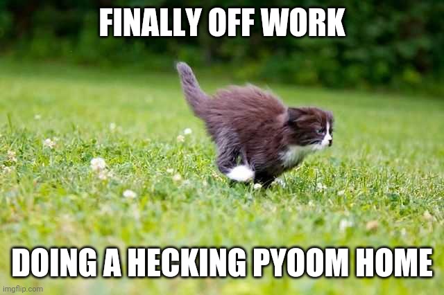 Off work! | FINALLY OFF WORK; DOING A HECKING PYOOM HOME | image tagged in work,cat | made w/ Imgflip meme maker
