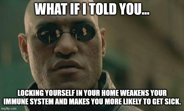 Matrix Morpheus Meme | WHAT IF I TOLD YOU... LOCKING YOURSELF IN YOUR HOME WEAKENS YOUR IMMUNE SYSTEM AND MAKES YOU MORE LIKELY TO GET SICK. | image tagged in memes,matrix morpheus | made w/ Imgflip meme maker