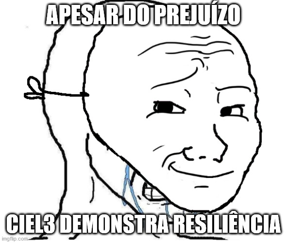 APESAR DO PREJUÍZO; CIEL3 DEMONSTRA RESILIÊNCIA | image tagged in investimentos | made w/ Imgflip meme maker