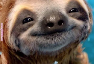 High Quality Happy Sloth Blank Meme Template
