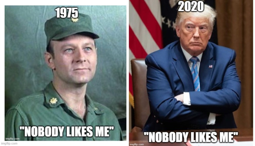 Losers whining nobody likes them | image tagged in nobody likes trump | made w/ Imgflip meme maker