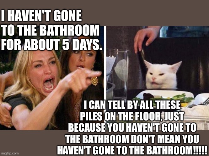 Woman yelling at cat | I HAVEN'T GONE TO THE BATHROOM FOR ABOUT 5 DAYS. I CAN TELL BY ALL THESE PILES ON THE FLOOR, JUST BECAUSE YOU HAVEN'T GONE TO THE BATHROOM DON'T MEAN YOU HAVEN'T GONE TO THE BATHROOM!!!!! | image tagged in smudge the cat | made w/ Imgflip meme maker