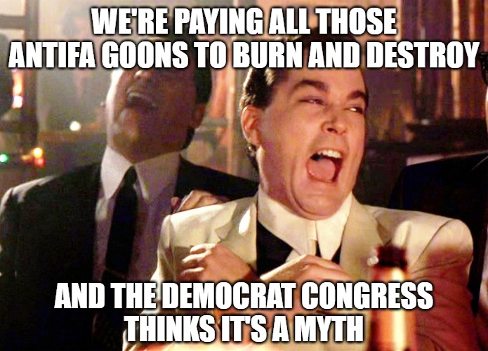 What's fools believe aka Nadler | WE'RE PAYING ALL THOSE
ANTIFA GOONS TO BURN AND DESTROY; AND THE DEMOCRAT CONGRESS
THINKS IT'S A MYTH | image tagged in memes,good fellas hilarious,fools,democrats,funny,portland | made w/ Imgflip meme maker