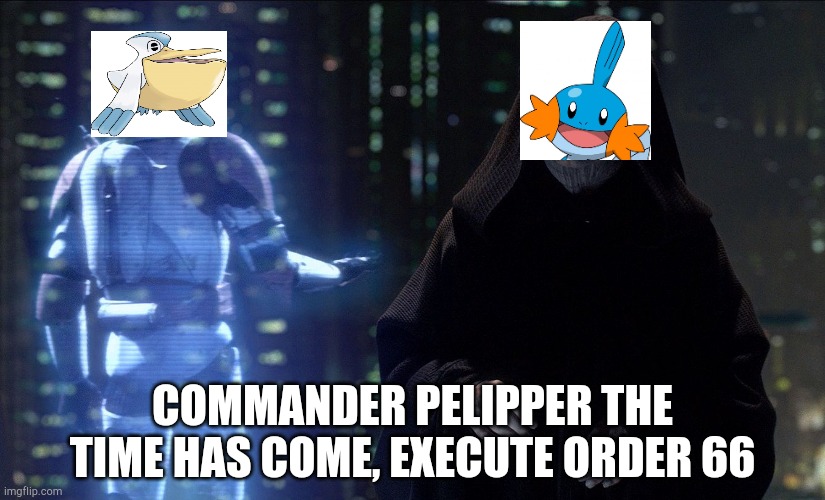 Order 66 but it's my Pokemon when I bought oras part 1. | COMMANDER PELIPPER THE TIME HAS COME, EXECUTE ORDER 66 | image tagged in execute order 66 | made w/ Imgflip meme maker