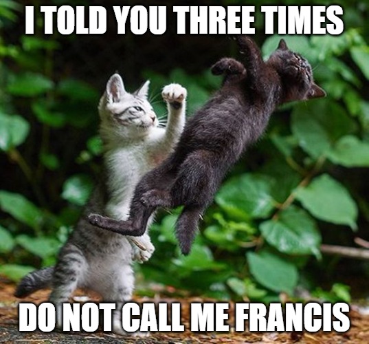 You need to listen | I TOLD YOU THREE TIMES; DO NOT CALL ME FRANCIS | image tagged in cats,francis,memes,fun,funny,funny memes | made w/ Imgflip meme maker