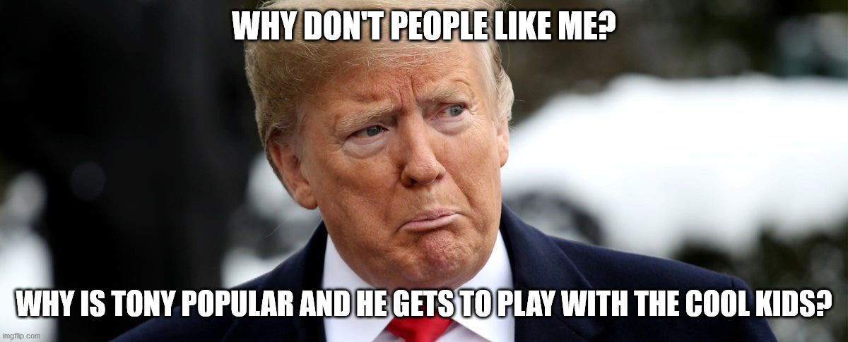 Poor Donny | WHY DON'T PEOPLE LIKE ME? WHY IS TONY POPULAR AND HE GETS TO PLAY WITH THE COOL KIDS? | image tagged in poor donny | made w/ Imgflip meme maker