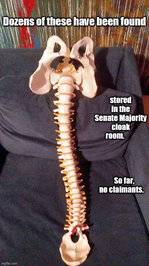 Dozens of these have been found; stored in the Senate Majority cloak room.                                                          So far,
 no claimants. | image tagged in senate,spineless | made w/ Imgflip meme maker