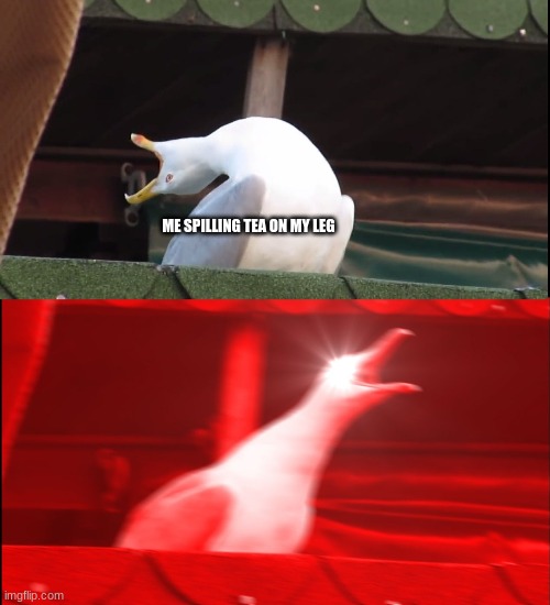 Screaming bird | ME SPILLING TEA ON MY LEG | image tagged in screaming bird,memes | made w/ Imgflip meme maker