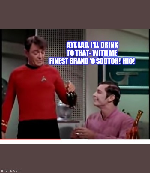 AYE LAD, I'LL DRINK TO THAT- WITH ME FINEST BRAND 'O SCOTCH!  HIC! | made w/ Imgflip meme maker