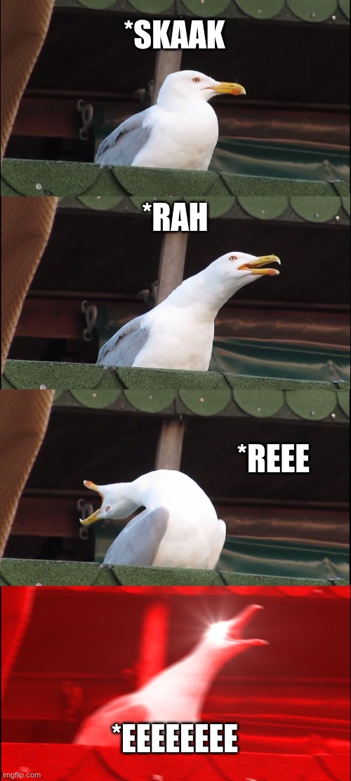 Inhaling Seagull Meme | *SKAAK; *RAH; *REEE; *EEEEEEEE | image tagged in memes,inhaling seagull | made w/ Imgflip meme maker