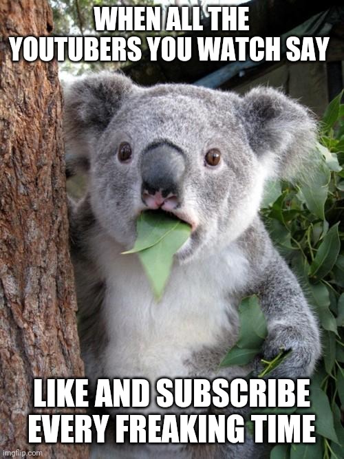 Surprised Koala | WHEN ALL THE YOUTUBERS YOU WATCH SAY; LIKE AND SUBSCRIBE EVERY FREAKING TIME | image tagged in memes,surprised koala | made w/ Imgflip meme maker