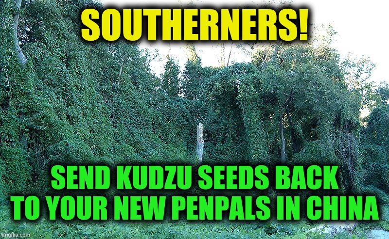 Two can play this game | SOUTHERNERS! SEND KUDZU SEEDS BACK TO YOUR NEW PENPALS IN CHINA | image tagged in chinese seeds,mysterious,invasive,kudzu,funny,memes | made w/ Imgflip meme maker