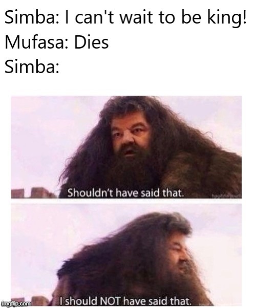 Simba | image tagged in memes | made w/ Imgflip meme maker
