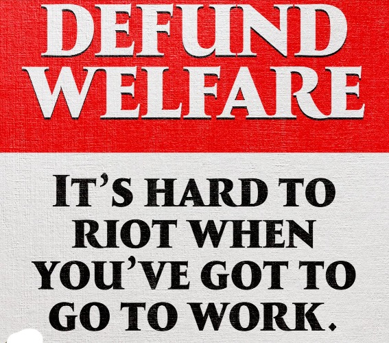 Defund Welfare | image tagged in welfare,riots,blm,antifa,anarchy,sjw triggered | made w/ Imgflip meme maker