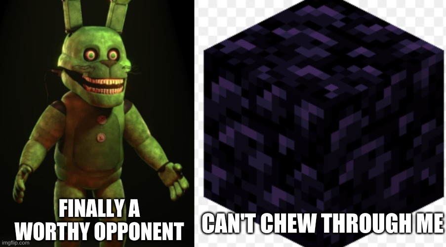 Random | FINALLY A WORTHY OPPONENT; CAN'T CHEW THROUGH ME | image tagged in fnaf,minecraft | made w/ Imgflip meme maker