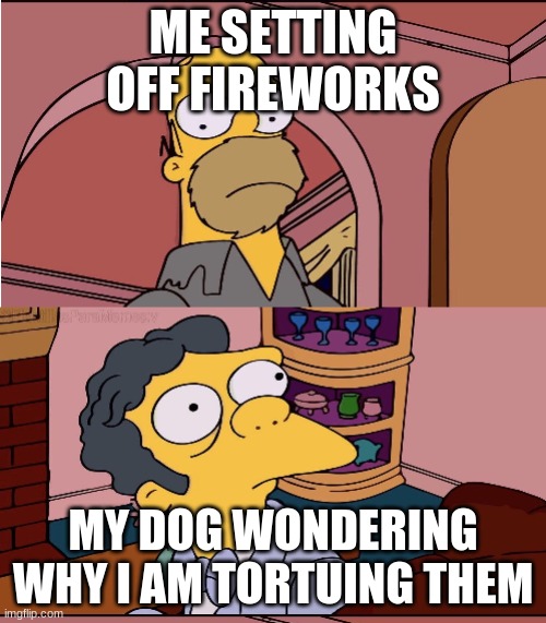 Doggo Get Spooks | ME SETTING OFF FIREWORKS; MY DOG WONDERING WHY I AM TORTUING THEM | image tagged in homer and moe | made w/ Imgflip meme maker