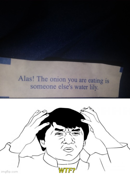??? | WTF? | image tagged in fortune cookie | made w/ Imgflip meme maker