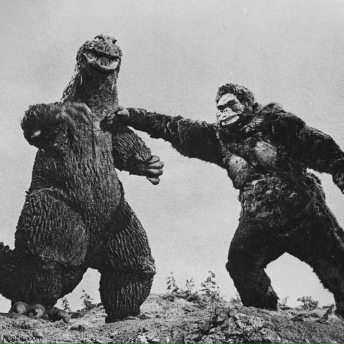 godzilla and kong | image tagged in godzilla and kong | made w/ Imgflip meme maker