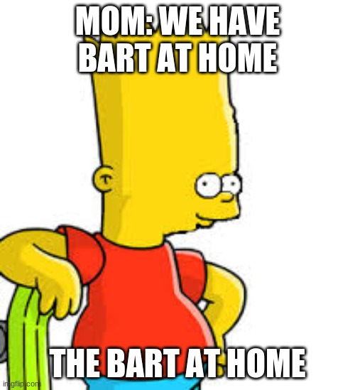 BORT | MOM: WE HAVE BART AT HOME; THE BART AT HOME | image tagged in bart simpson | made w/ Imgflip meme maker