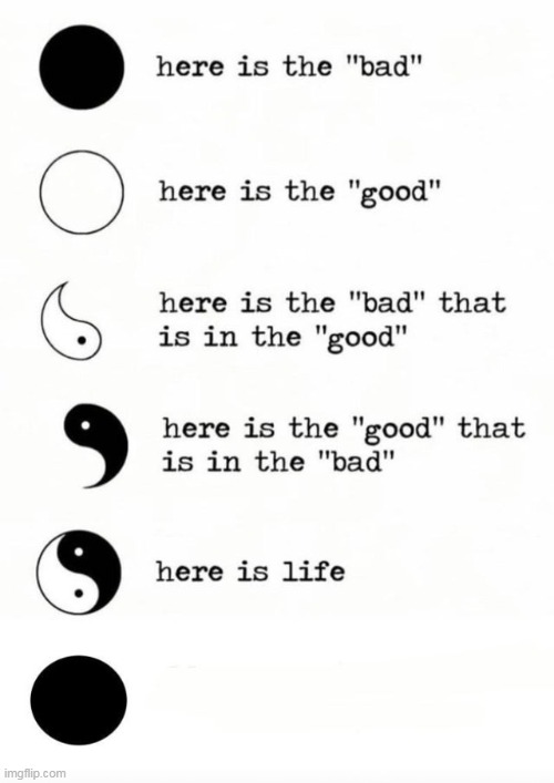 yin and yang | image tagged in memes | made w/ Imgflip meme maker