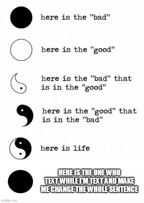 yin and yang | HERE IS THE ONE WHO TEXT WHILE I'M TEXT AND MAKE ME CHANGE THE WHOLE SENTENCE | image tagged in memes | made w/ Imgflip meme maker