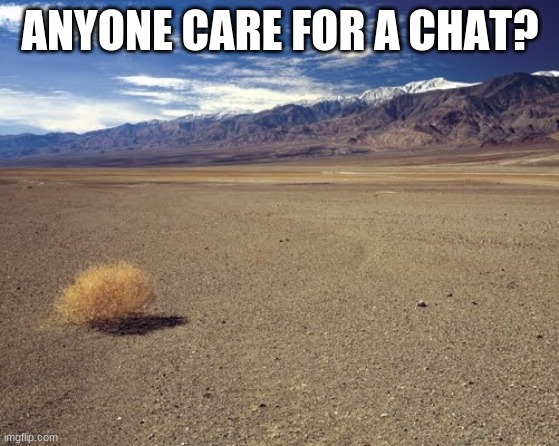 desert tumbleweed | ANYONE CARE FOR A CHAT? | image tagged in desert tumbleweed | made w/ Imgflip meme maker