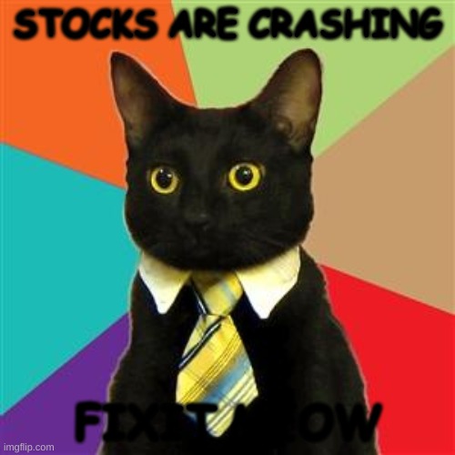 Business Cat | STOCKS ARE CRASHING; FIXIT MEOW | image tagged in business cat | made w/ Imgflip meme maker