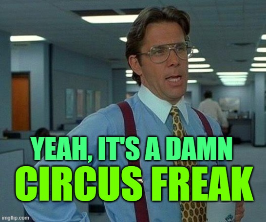 That Would Be Great Meme | YEAH, IT'S A DAMN CIRCUS FREAK | image tagged in memes,that would be great | made w/ Imgflip meme maker
