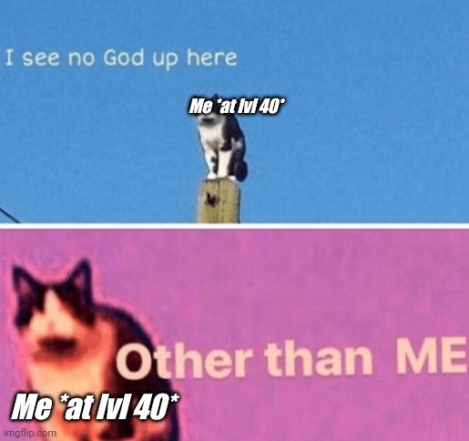 No god up here cat | Me *at lvl 40*; Me *at lvl 40* | image tagged in no god up here cat | made w/ Imgflip meme maker