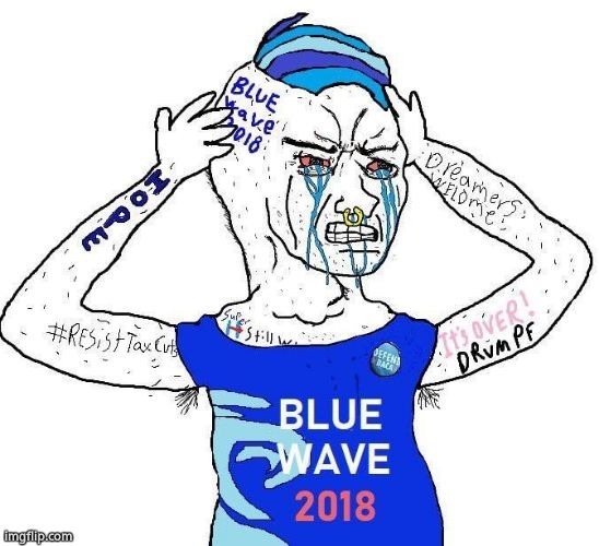 Blue wave liberal | image tagged in blue wave liberal | made w/ Imgflip meme maker