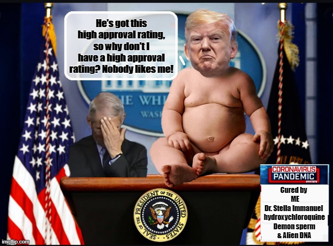 President Cranky-Pants | He’s got this high approval rating, so why don’t I have a high approval rating? Nobody likes me! Cured by 
 ME
Dr. Stella Immanuel 
hydroxychloroquine
Demon sperm
& Alien DNA | image tagged in trump is a moron,donald trump is an idiot,crying baby,covid-19 | made w/ Imgflip meme maker