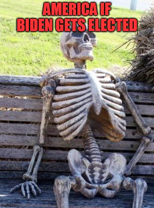 Waiting Skeleton | AMERICA IF BIDEN GETS ELECTED | image tagged in memes,waiting skeleton | made w/ Imgflip meme maker