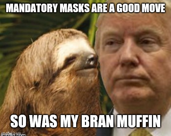 Political advice sloth | MANDATORY MASKS ARE A GOOD MOVE; SO WAS MY BRAN MUFFIN | image tagged in political advice sloth | made w/ Imgflip meme maker