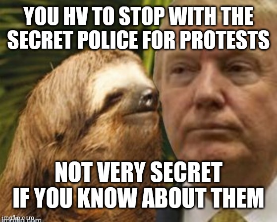 Political advice sloth | YOU HV TO STOP WITH THE SECRET POLICE FOR PROTESTS; NOT VERY SECRET IF YOU KNOW ABOUT THEM | image tagged in political advice sloth | made w/ Imgflip meme maker