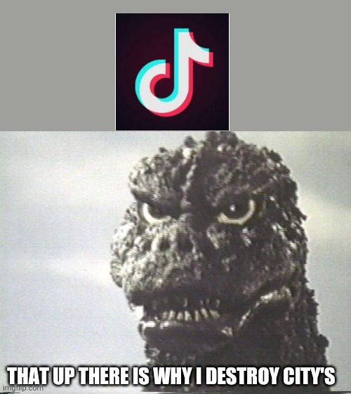 Godzilla This Is Why I Destroy Cities | THAT UP THERE IS WHY I DESTROY CITY'S | image tagged in godzilla this is why i destroy cities | made w/ Imgflip meme maker