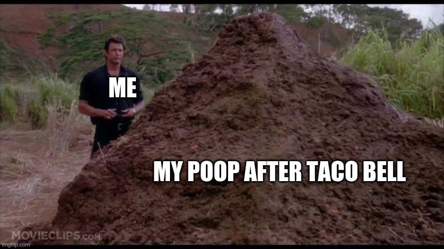 taco bell anyone? | ME; MY POOP AFTER TACO BELL | image tagged in that is one big pile of shit | made w/ Imgflip meme maker