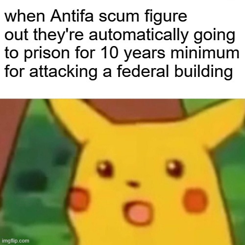 Surprised Pikachu Meme | when Antifa scum figure out they're automatically going to prison for 10 years minimum for attacking a federal building | image tagged in memes,surprised pikachu | made w/ Imgflip meme maker
