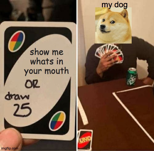 UNO draw 25 cards | my dog; show me whats in your mouth | image tagged in memes,uno draw 25 cards,doge | made w/ Imgflip meme maker