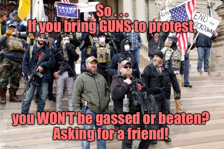 PROTESTERS | So . . .
If you bring GUNS to protest, you WON’T be gassed or beaten? 
Asking for a friend! | image tagged in lock down protester,protest,blm,portland,fascism,protesters | made w/ Imgflip meme maker