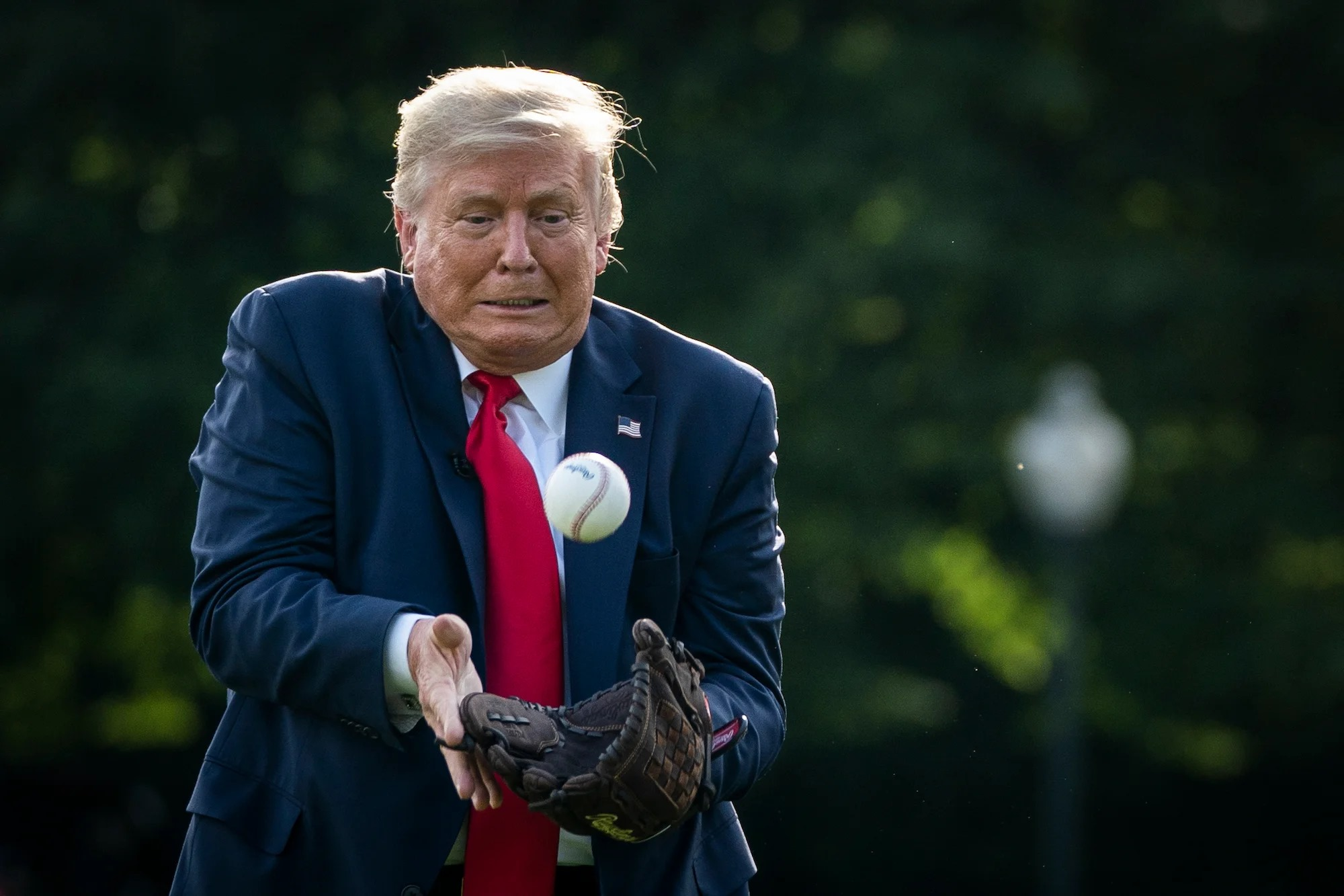 High Quality Trump baseball Blank Meme Template