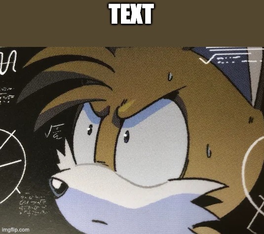Calculating Tails | TEXT | image tagged in calculating tails | made w/ Imgflip meme maker