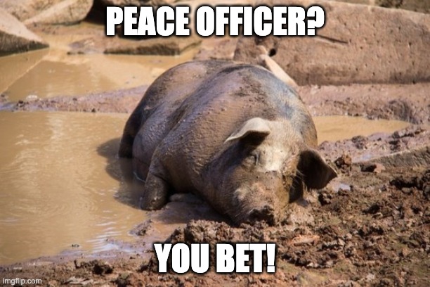 PEACE OFFICER? YOU BET! | image tagged in police,police brutality,gestapo,trump's goons | made w/ Imgflip meme maker