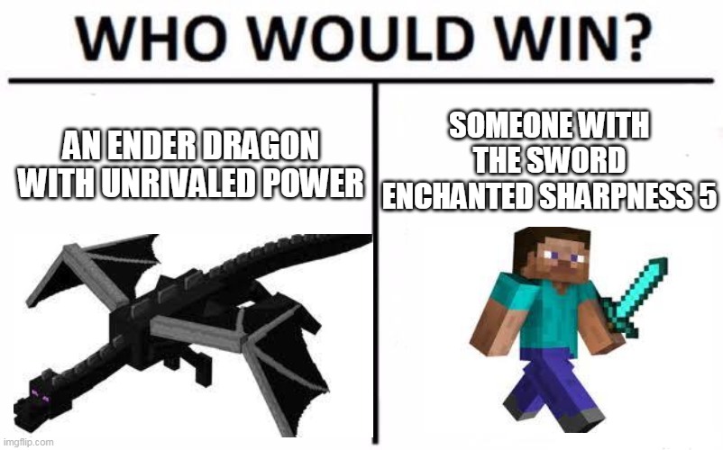 Who Would Win? Meme | AN ENDER DRAGON WITH UNRIVALED POWER; SOMEONE WITH THE SWORD ENCHANTED SHARPNESS 5 | image tagged in memes,who would win | made w/ Imgflip meme maker