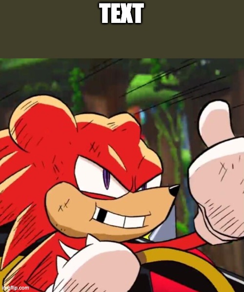 Beaten-up knuckles | TEXT | image tagged in beaten-up knuckles | made w/ Imgflip meme maker